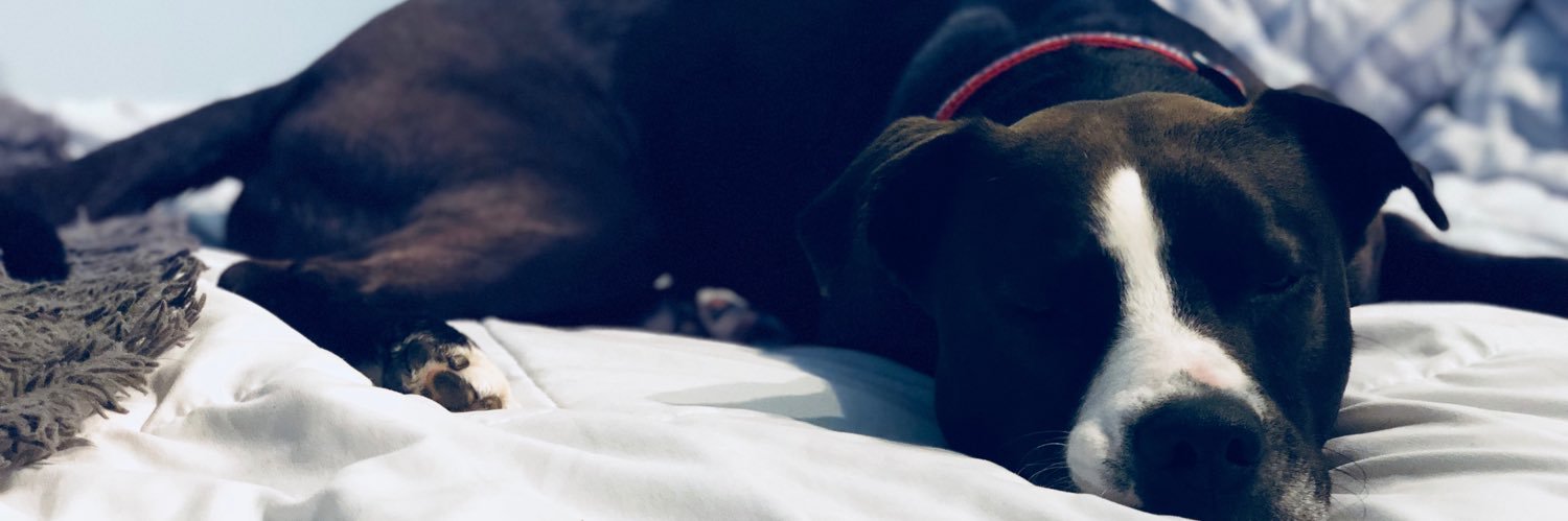 jaycicookus's profile banner image