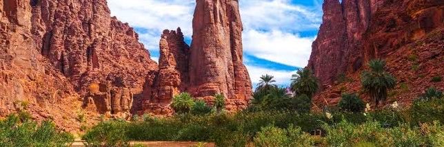 336Alsaad's profile banner image