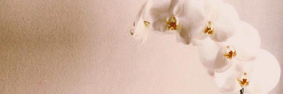 Lapostrof0aura's profile banner image