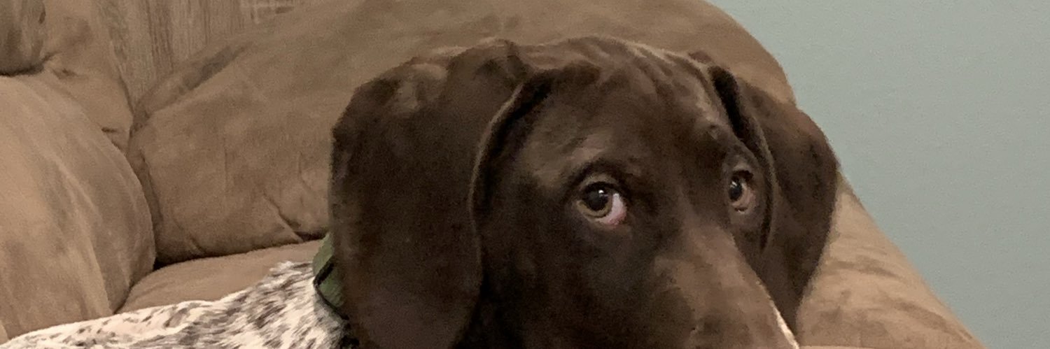 AddengastJade's profile banner image
