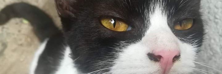arthur0430's profile banner image