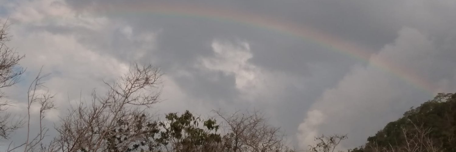 José Gabriel banner