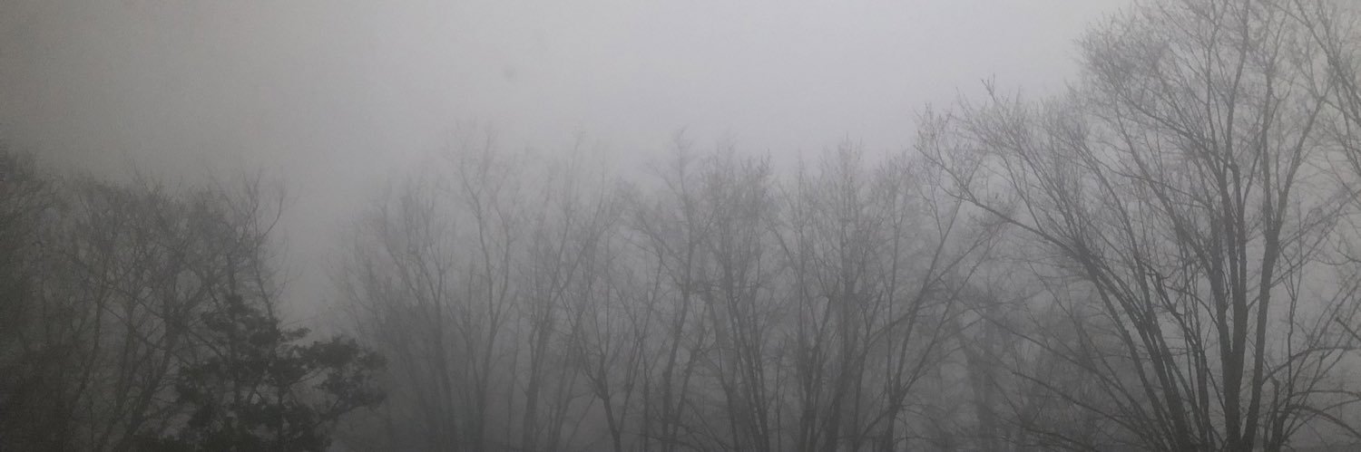 LowkeyAltemis's profile banner image