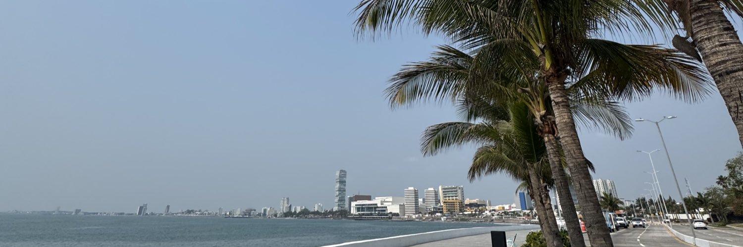 ZamoraAlain's profile banner image