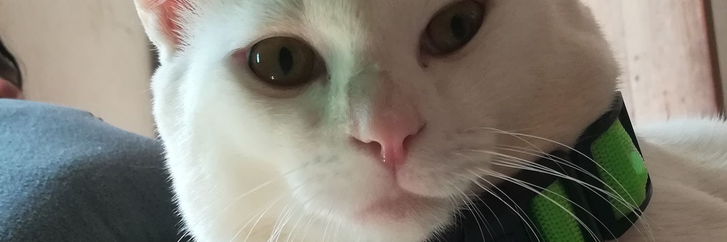 ZUTHIM's profile banner image
