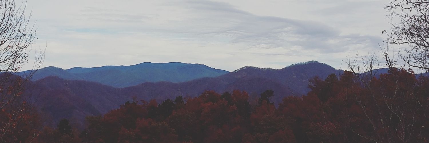 _Steven_Dutton_'s profile banner image