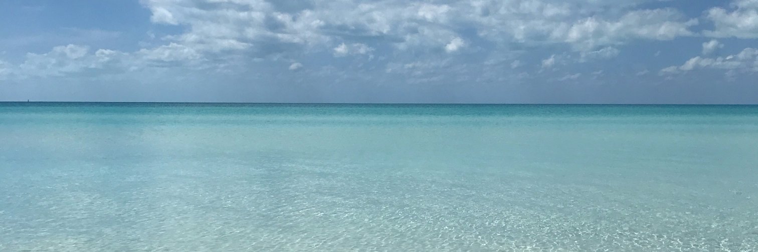 Adriana Farmiga banner