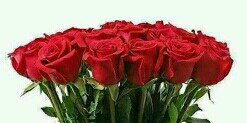 abowaleed24's profile banner image