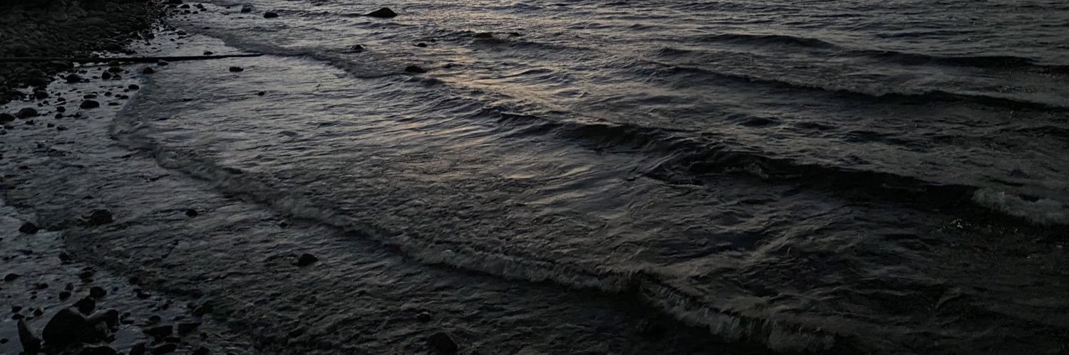 nicagulich's profile banner image