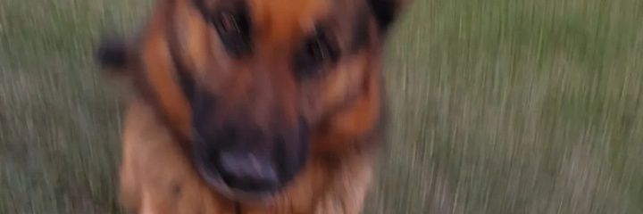 dnielobre's profile banner image