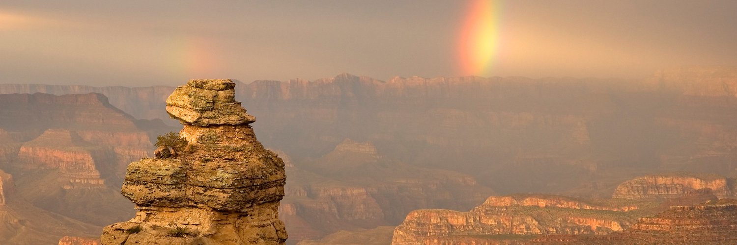 hoylekoontz's profile banner image
