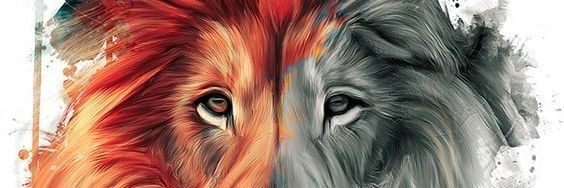 MyMy_Katy's profile banner image