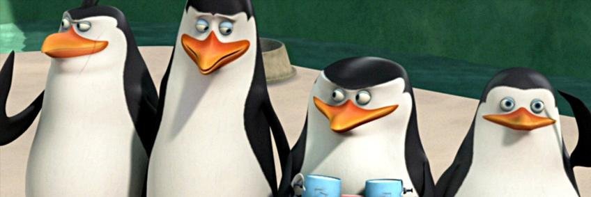 VolferSSB banner