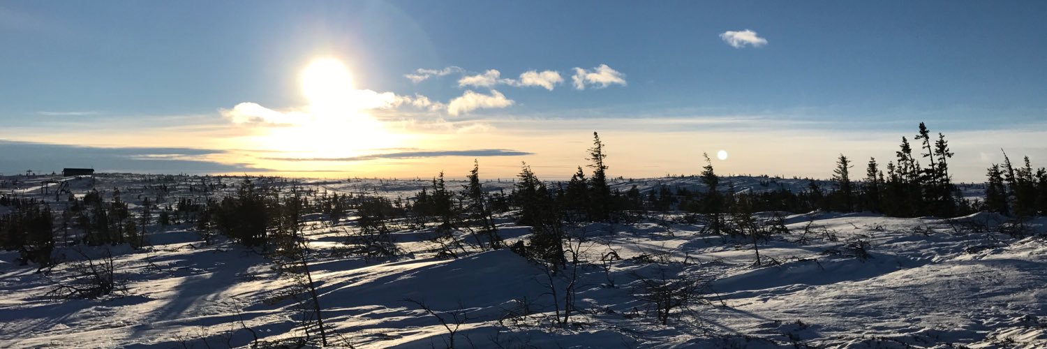 JerryZLee's profile banner image