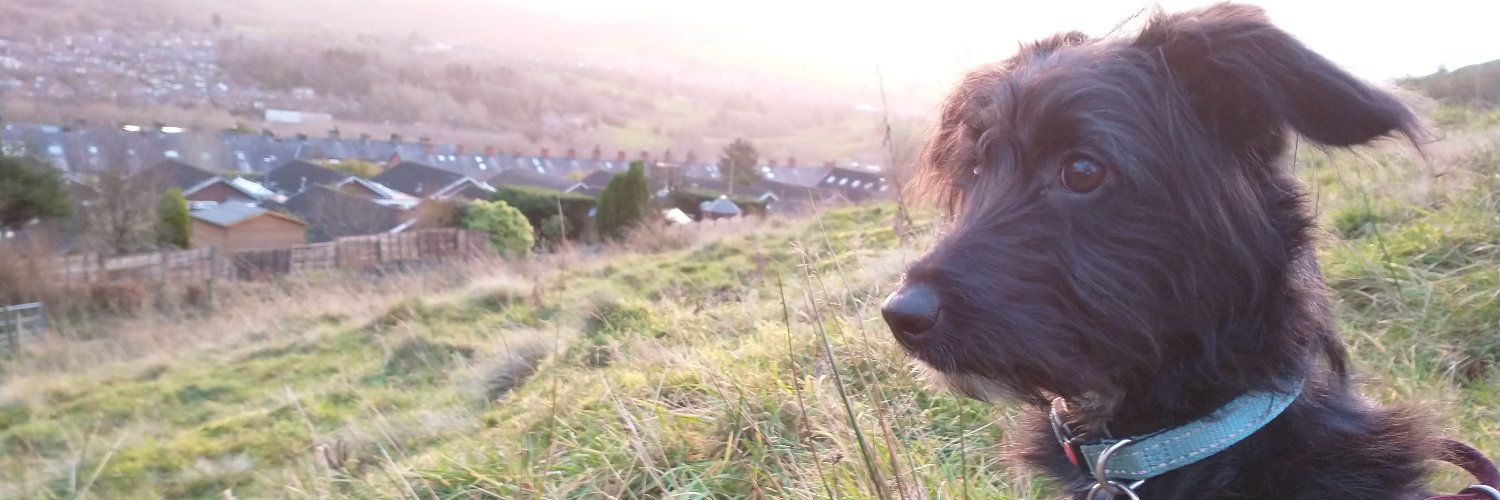 Emma-Reetta Koivunen 🇫🇮🇪🇺🇬🇧 banner