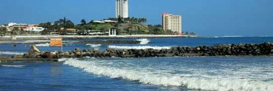 Paty Terrazas banner