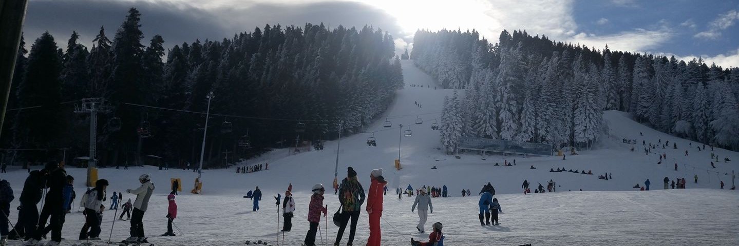 Daniel Taylor banner