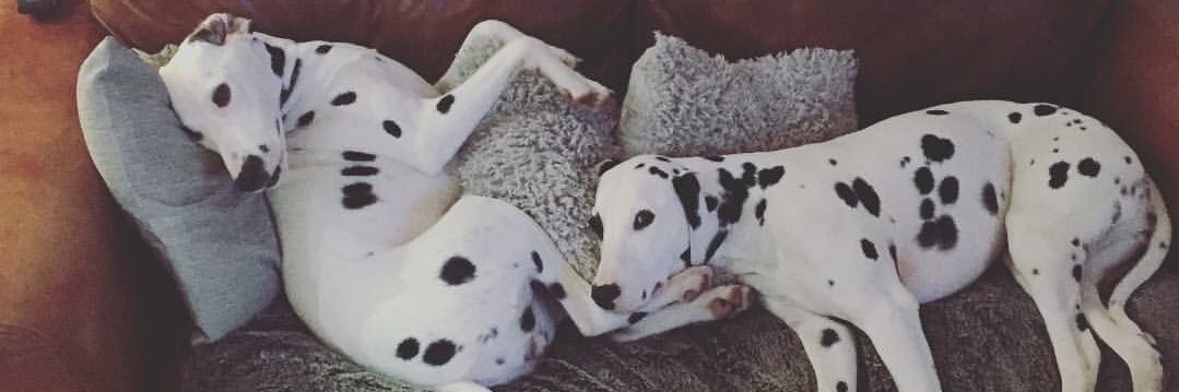 AimeeGregs's profile banner image