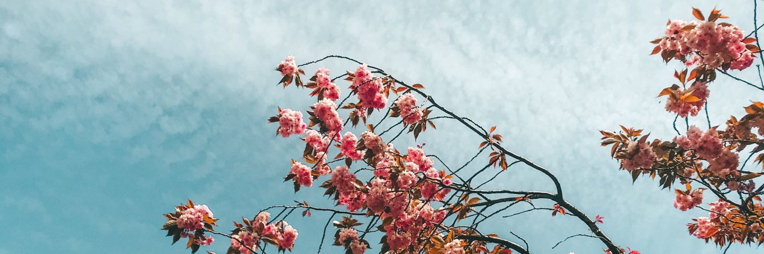 persson_julia's profile banner image