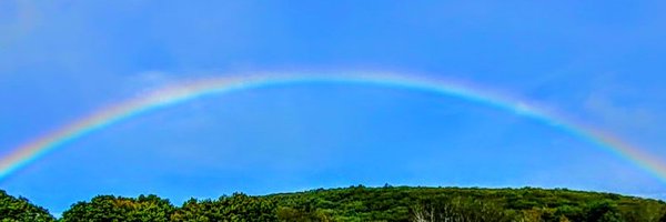 AnnekeRadin Profile Banner