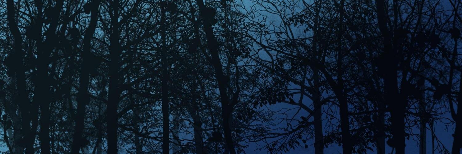 wisdom_12's profile banner image