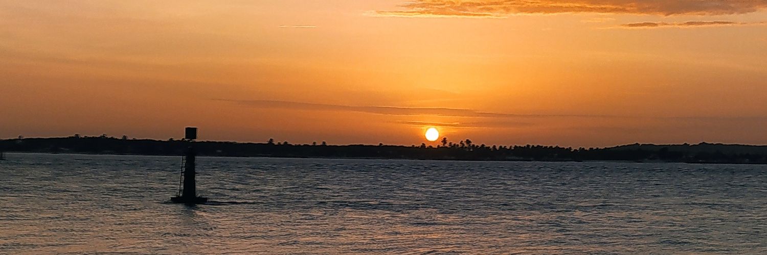 chinelinho38's profile banner image