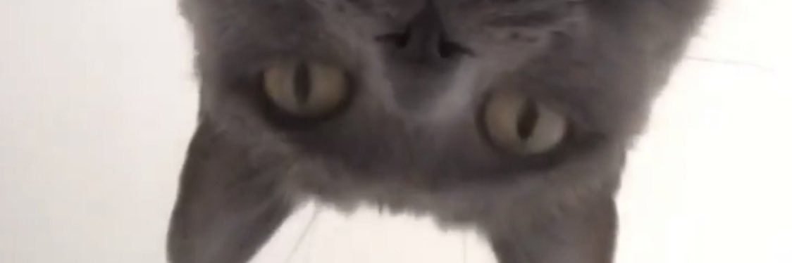 Amelie_321's profile banner image