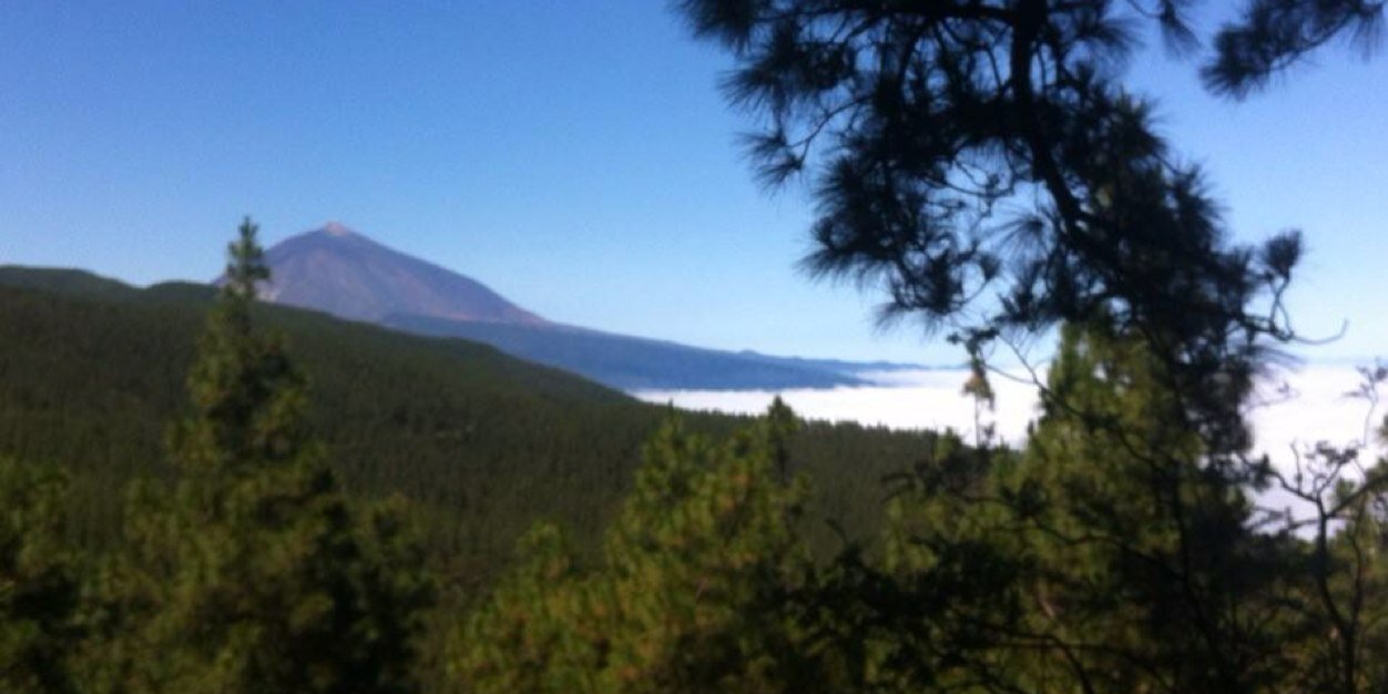 Carlos González Ruiz banner