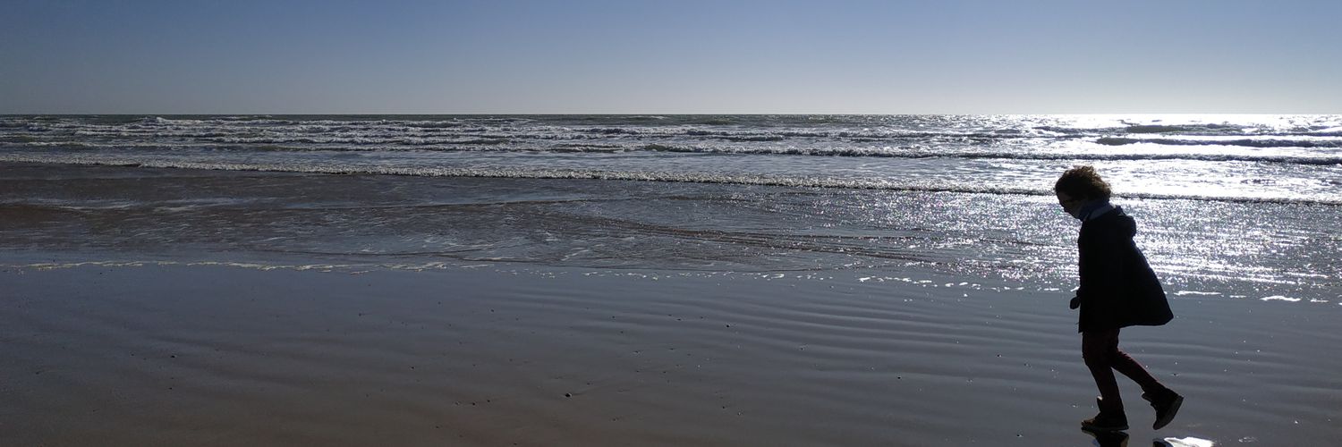 sneau44's profile banner image