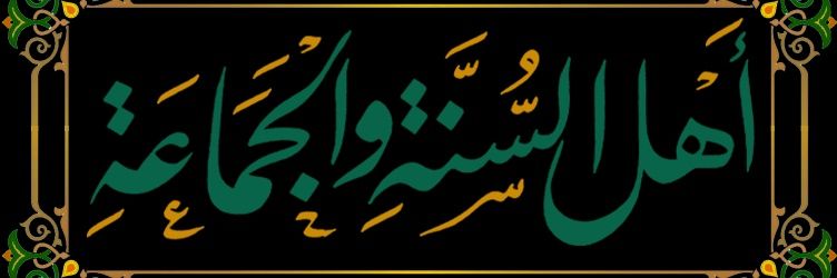 sainna's profile banner image