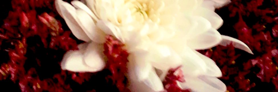 RAMA__333's profile banner image