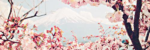 Helo_Gomez's profile banner image
