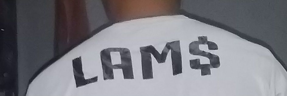 The_Larms's profile banner image