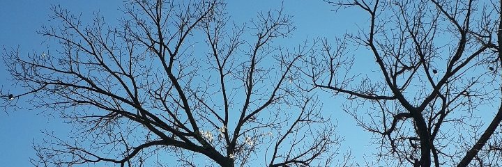 Kaaroline_f's profile banner image