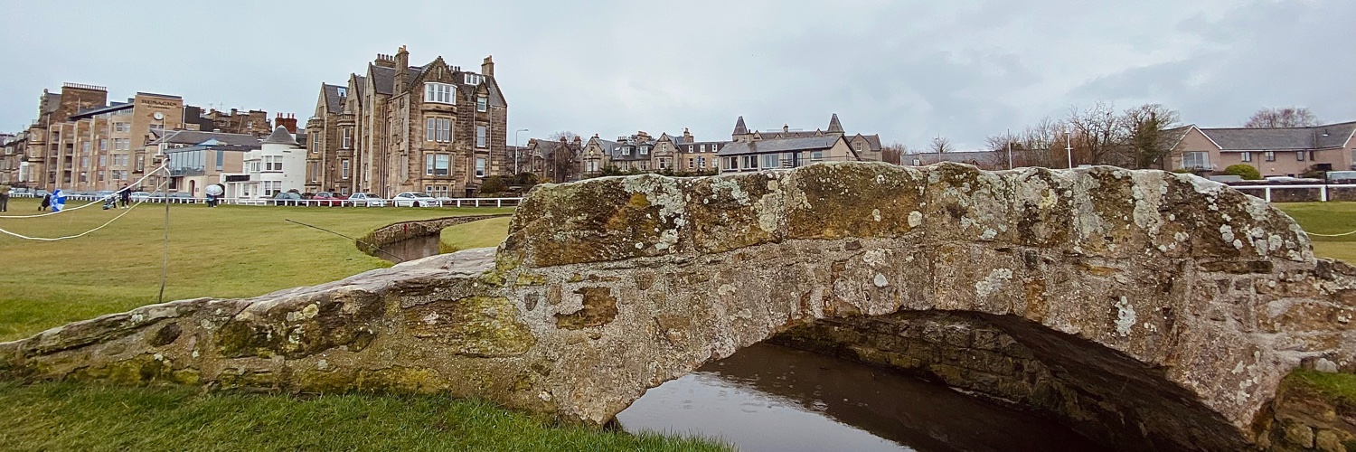 Carson Lavender banner