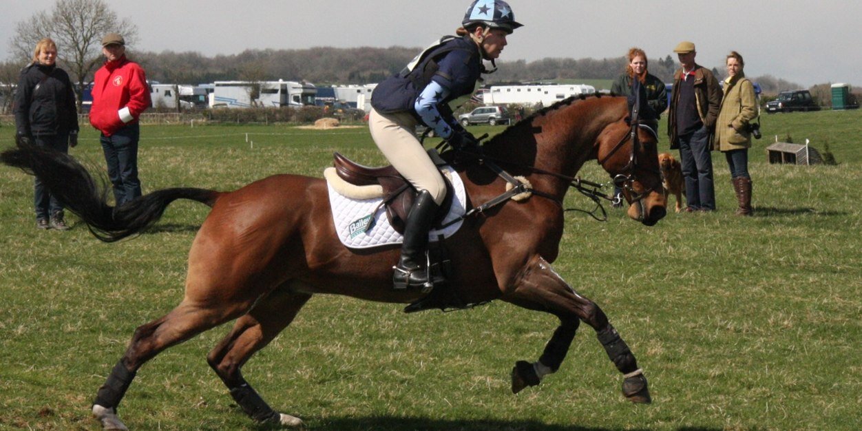 LWEquestrian's profile banner image