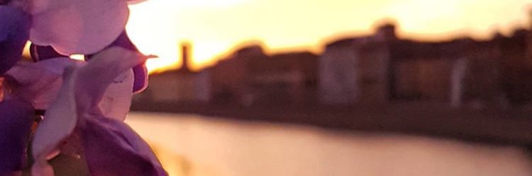 lamazza_'s profile banner image
