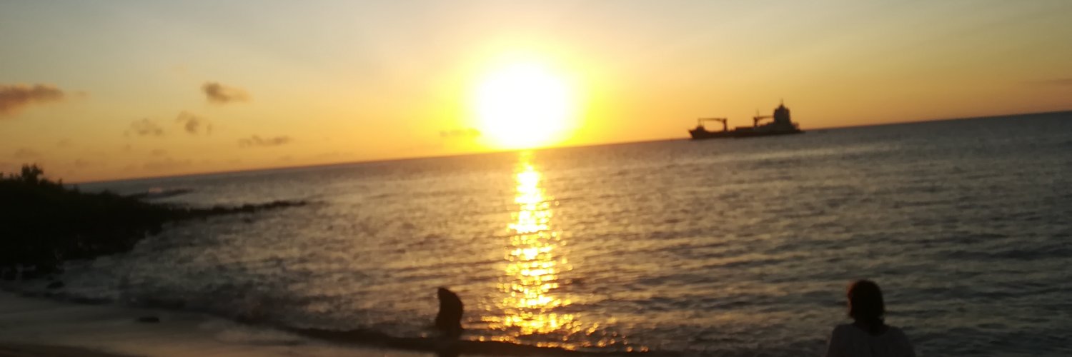 ma_ferdora's profile banner image