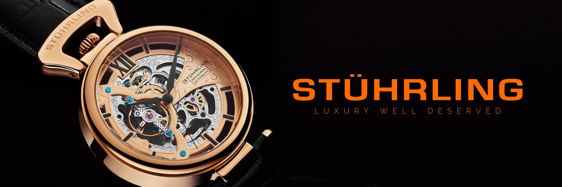 StuhrlingIndia's profile banner image