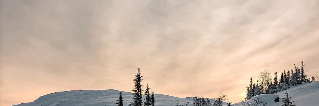 Carolin901012's profile banner image