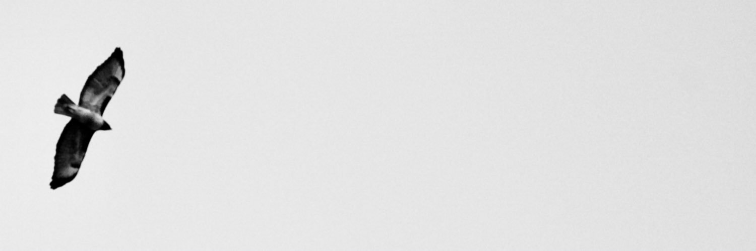Sooffee banner