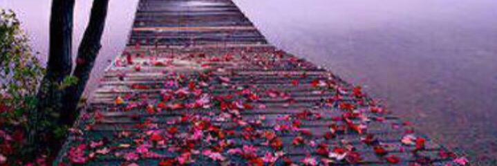 a_bheer's profile banner image