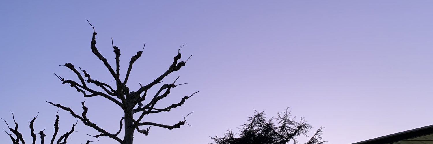 ness_prnt's profile banner image