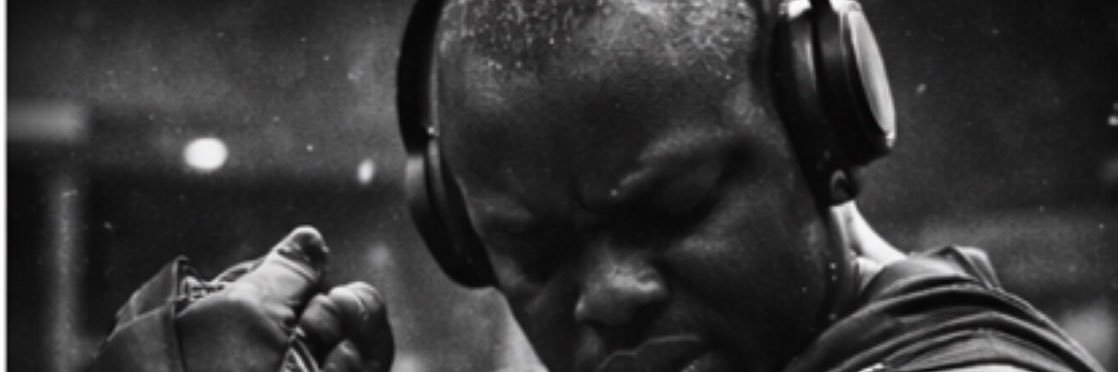 pelaresse's profile banner image
