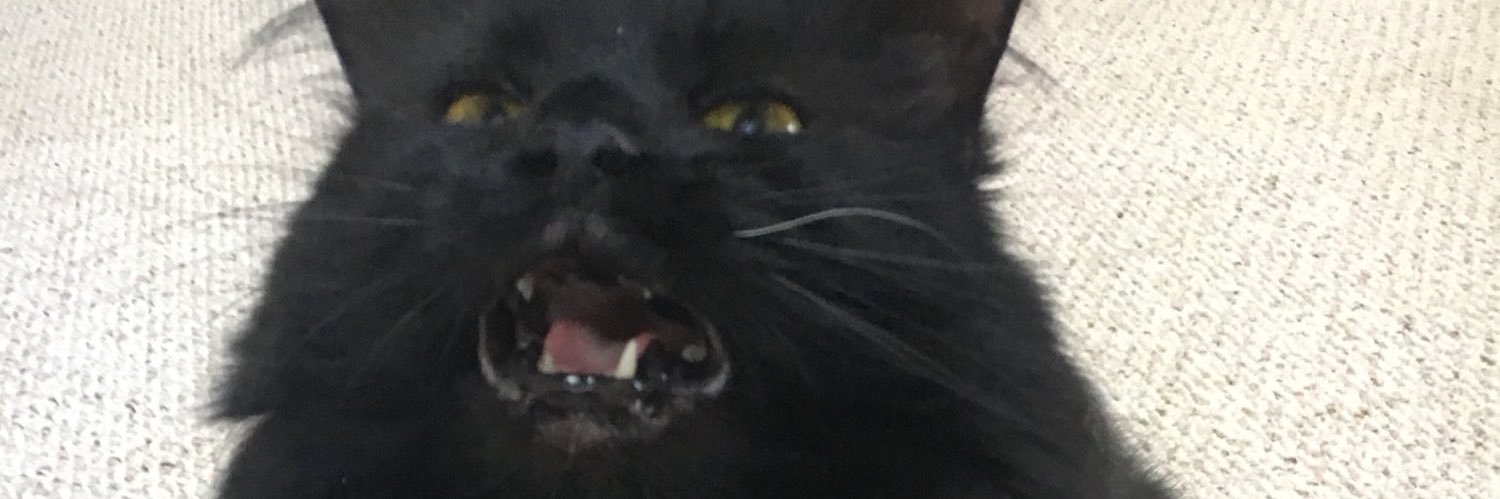 RoseFire145's profile banner image