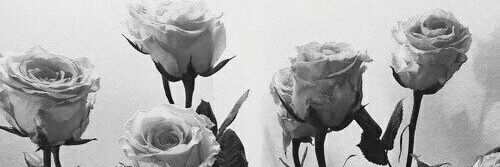 Paulapaitz's profile banner image
