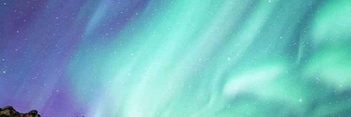 amy_l2017's profile banner image