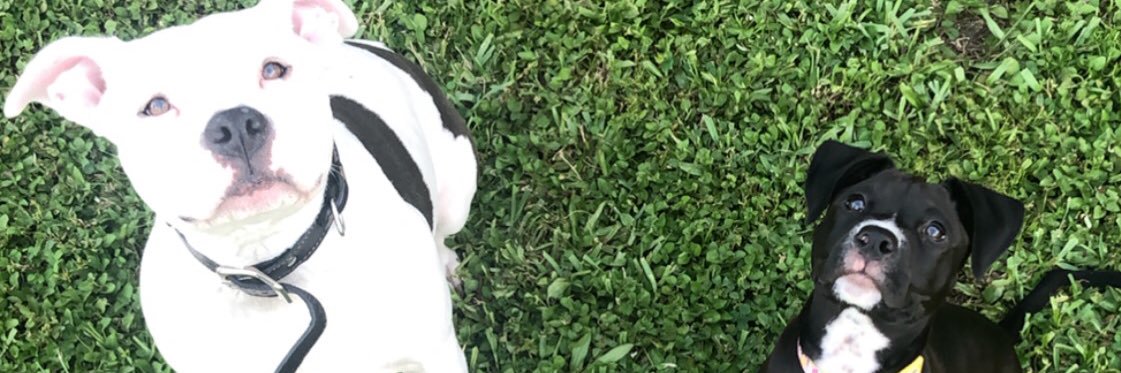Kaattteeee91's profile banner image