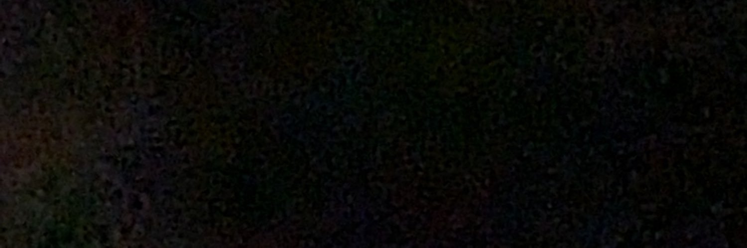 marthaboswell's profile banner image