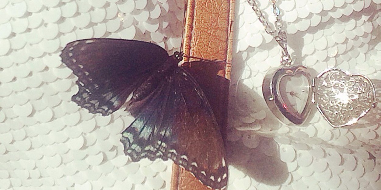 celiaroseb's profile banner image